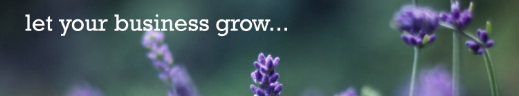 Let Your Business Grow with Bordernet