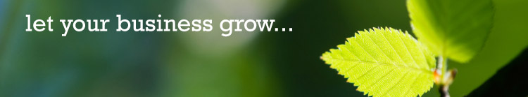 Let Your Business Grow with Bordernet