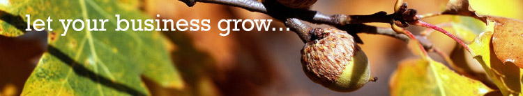 Let Your Business Grow with Bordernet