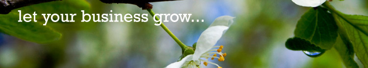 Let Your Business Grow with Bordernet