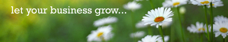 Let Your Business Grow with Bordernet