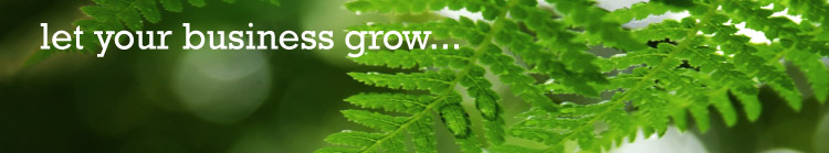 Let Your Business Grow with Bordernet