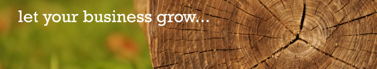 Let Your Business Grow with Bordernet